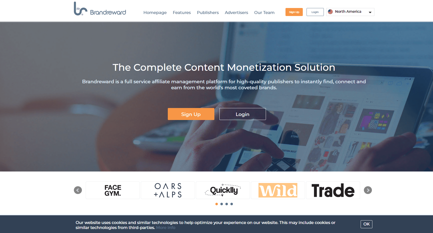 Infographic about brandreward affiliate network review