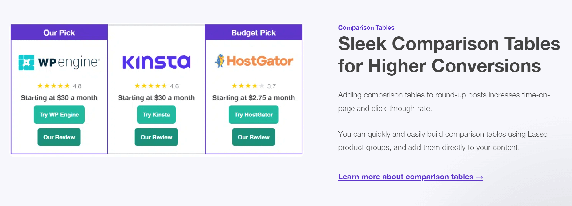 Infographic about lasso affiliate link tool review